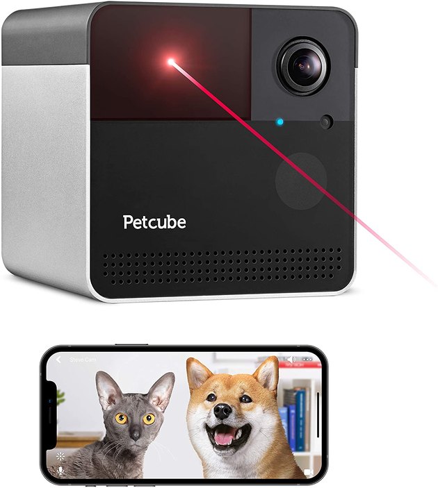 Keep your cats entertained while you’re not home with the Petcube Play 2 Pet Camera. Complete with a pet safe toy laser, you can control the laser with the app or set it to autoplay. The camera also boasts other amazing features, including a built-in Alexa assistant, two-way audio, 1080p HD video with night vision, and a 160-degree wide angle lens.