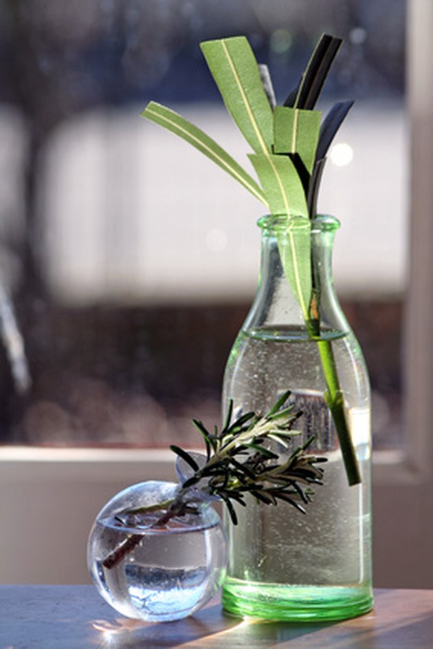 Homemade Starter Solution for Plant Cuttings Hunker