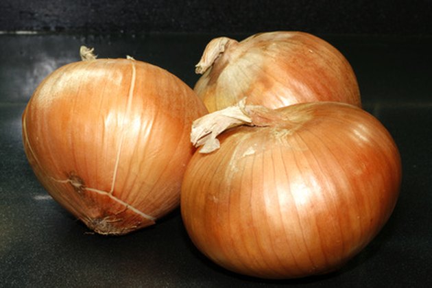 how to plant onion bulbs in the spring