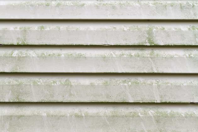 Dirty Vinyl Siding Needs Pressure Washing