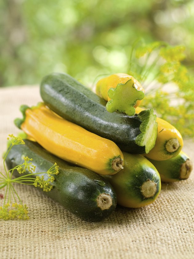 How To Properly Freeze Zucchini / How to Freeze Zucchini Plus 7 Ways to Use It | I Wash You Dry : Check spelling or type a new query.