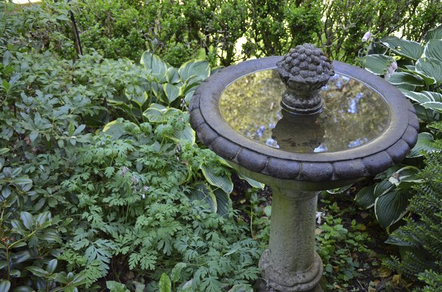 Reflective garden birdbath