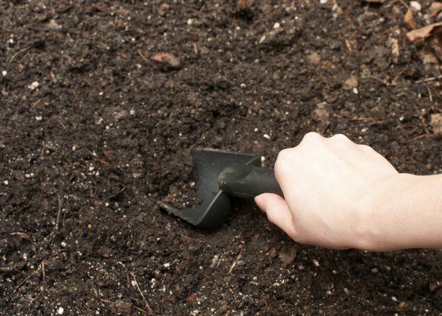 Digging soil with black gardening tool