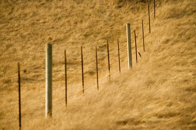 High angle view of a fence in a field, Los Angeles, California, USA
