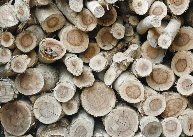 pile of cut wood