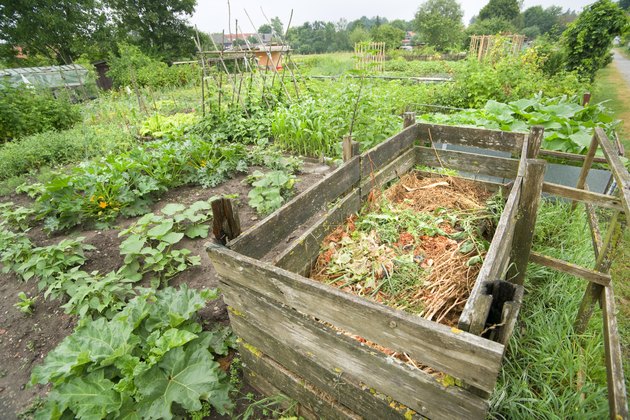 Compost bin