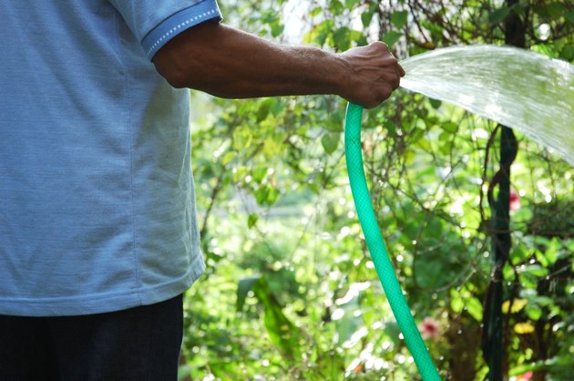 Person watering the plants