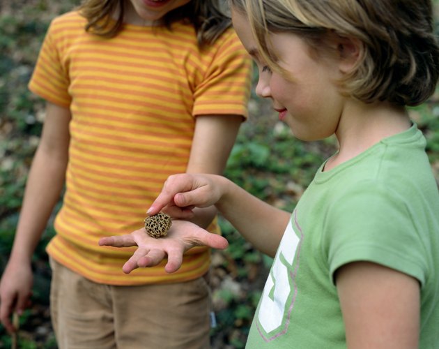 Girls playing with burr