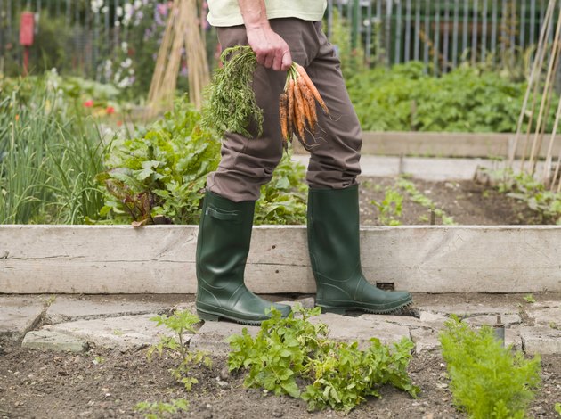 A man holding a bunch of carrots
