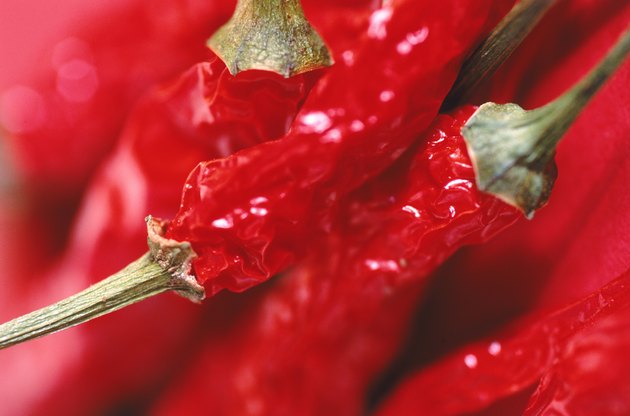 Red chilli pepper, full frame