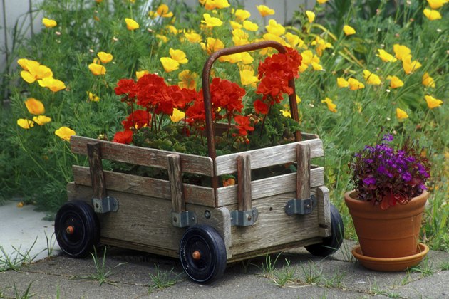 High angle view of a potted plant near a push cart in a garden