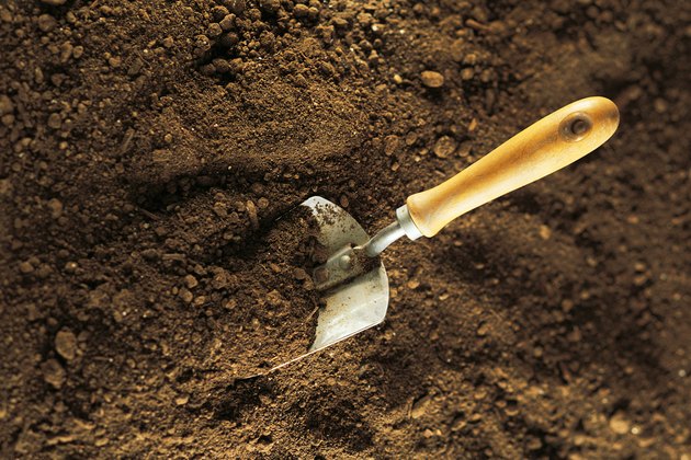 Trowel with soil