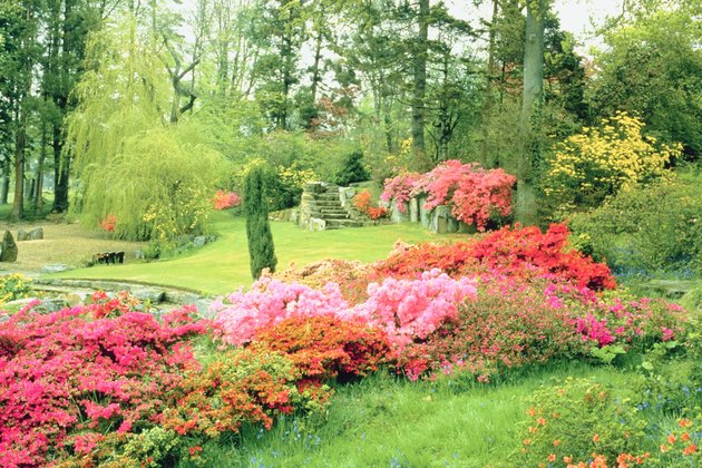 Flowers in lush garden