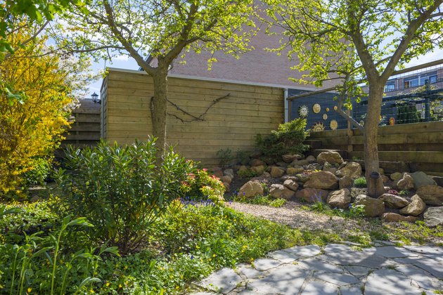Footpath in a sunny garden in spring