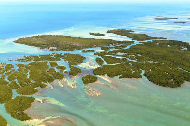 Florida Keys