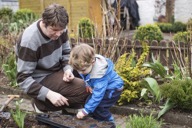 Little boy and his father planting seeds in vegetable garden