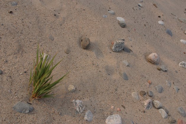 Sand in desert