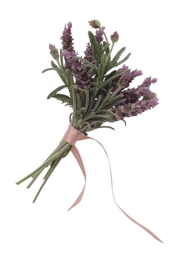 Bundle of lavender