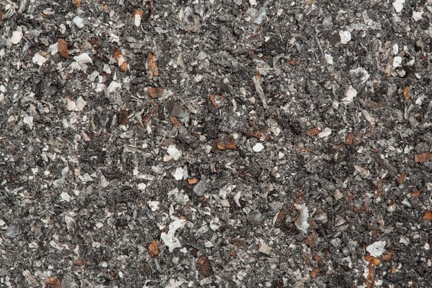 Close up of ash