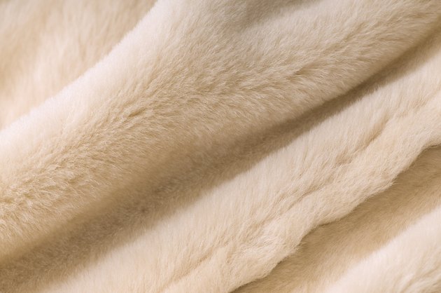 sheep fur texture