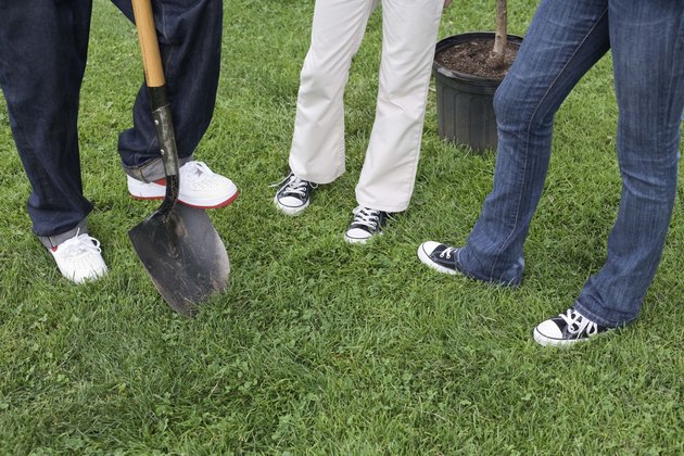 Legs of people planting tree