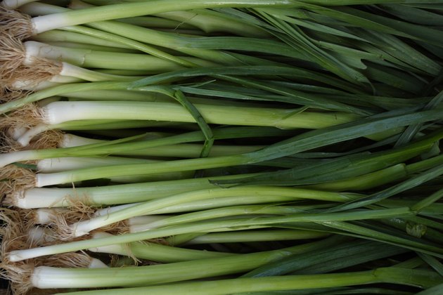 Plants in the Onion Family | Hunker