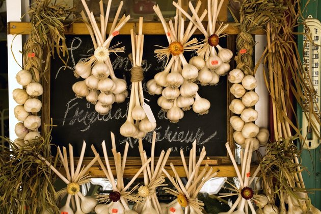 Hanging garlic bulbs