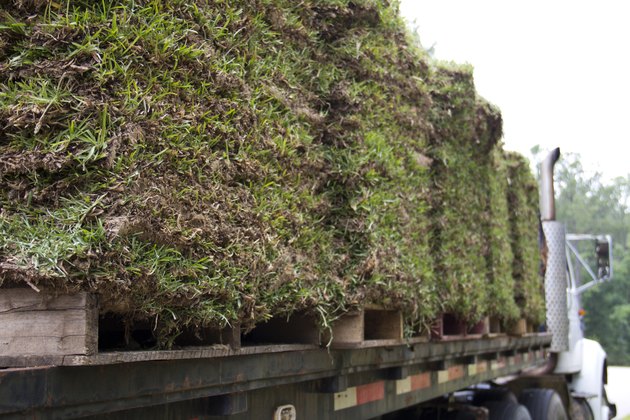 Pallets of Sod Grass on a Truck