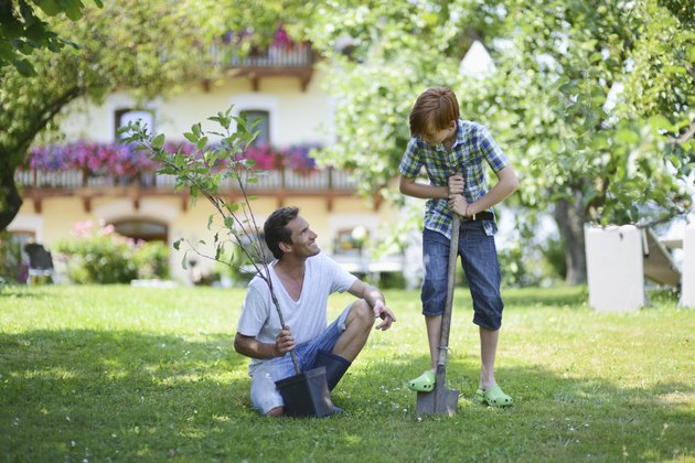 Father and boy holding sapling in garden