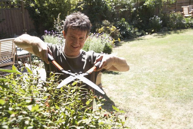 Man cutting bush with garden shears, elevated view