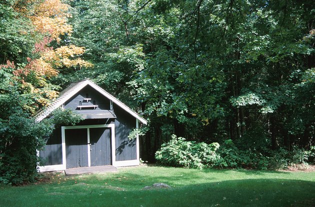 Shed in the woods