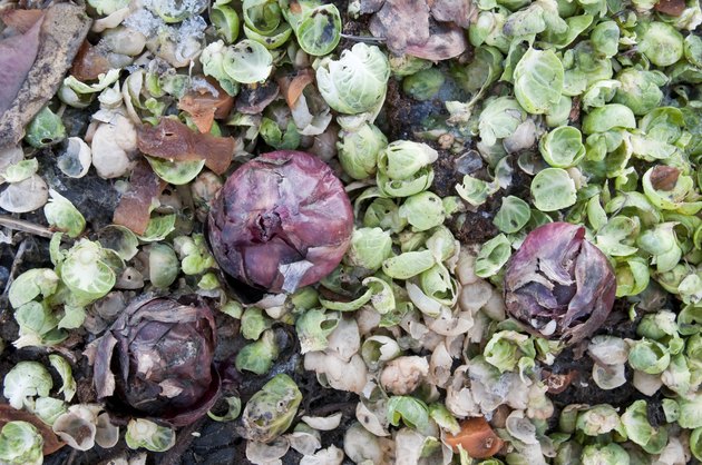 Red onions and sprouts waste