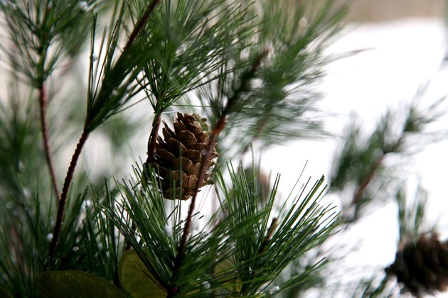 Evergreen tree Christmas decoration