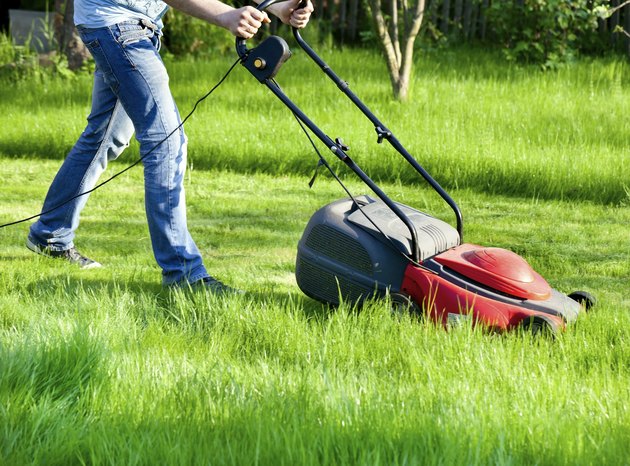 Man with lawnmower