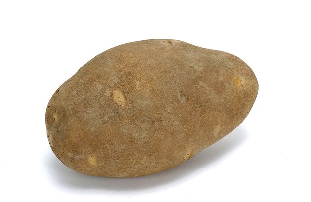 Potato
