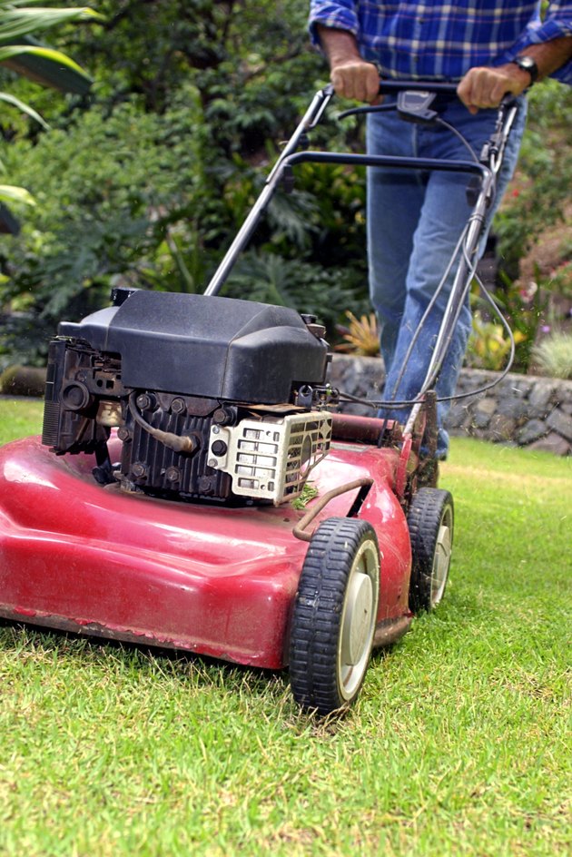Man using lawn mower