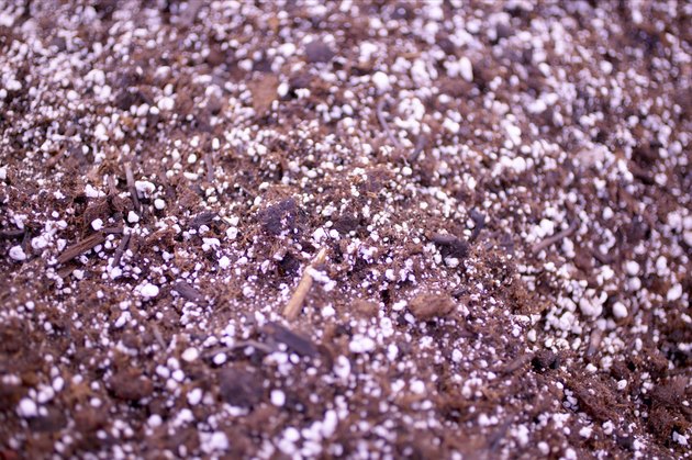 Close-up of soil