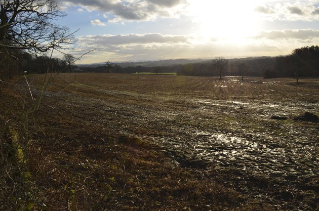 Winter on an English farm.