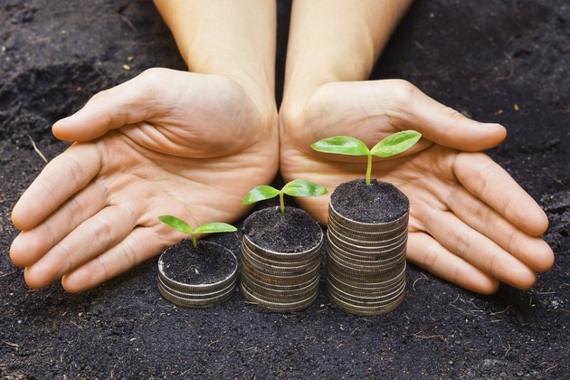 hands holding tress growing on coins