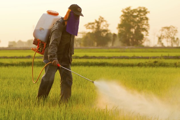 Farmer spraying pesticide