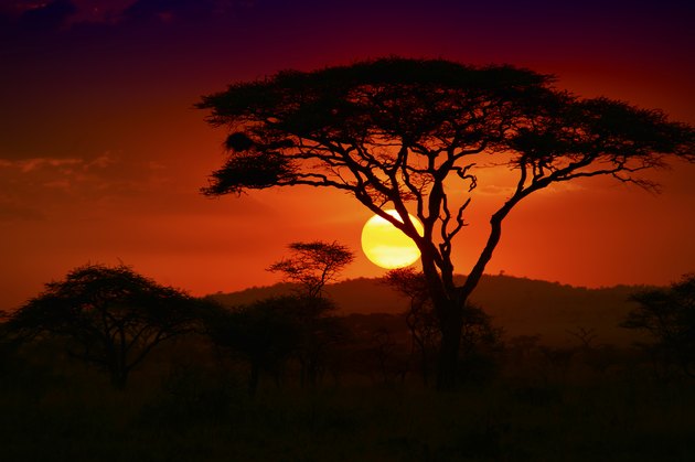 End of a Safari-day in the Serengeti, Africa