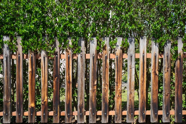 Old wooden fence