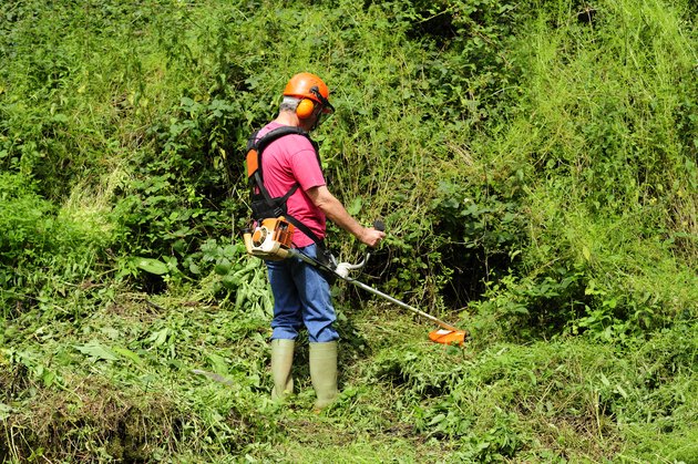Cutting back the bush