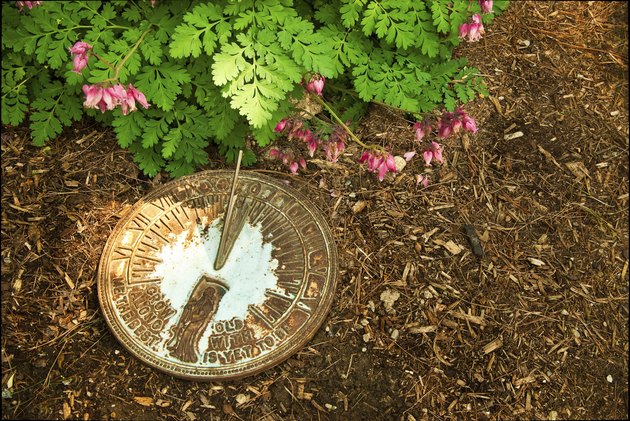 Sundial on Bark Mulch Next to Bleeding Hearts