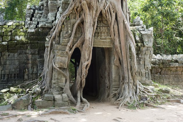 Ta Som Temple - Cambodia