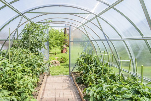 arched greenhouse
