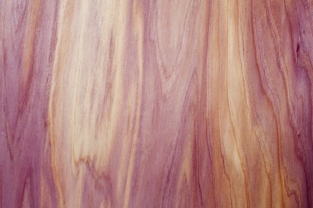 Western Red Cedar Texture