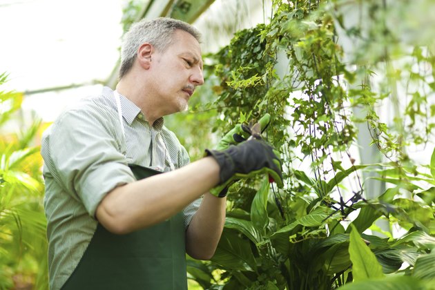 Gardener