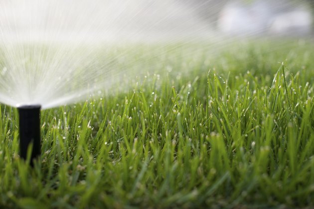 Grass Sprinkler