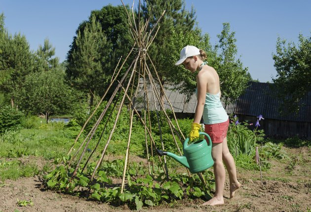 girl garden watering can stick tower beans